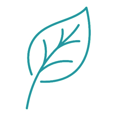 icon1
